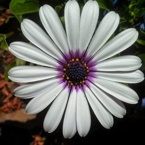 Meet your Posher, Kathleen